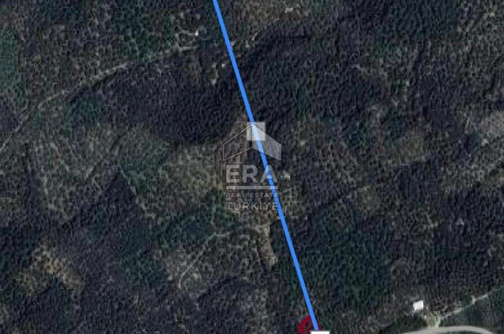 BANDIRMA- EDİNCİK - SATILIK ZEYTİNLİK - 1439 m²