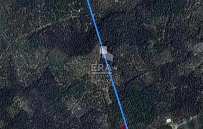 BANDIRMA- EDİNCİK - SATILIK ZEYTİNLİK - 1439 m²