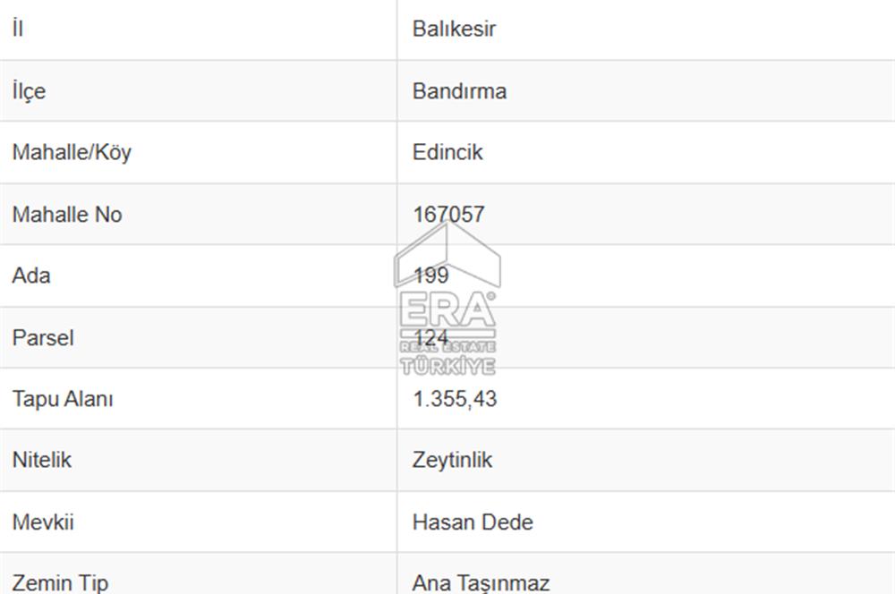 EDİNCİK’TE DENİZE 500M MESAFEDE | BAKIMLI & YÜKSEK VERİMLİ ZEYTİNLİK