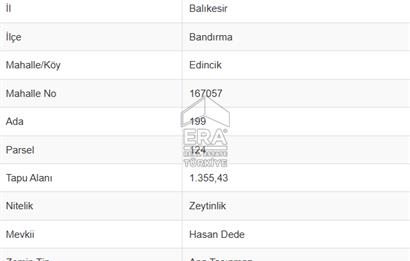 EDİNCİK’TE DENİZE 500M MESAFEDE | BAKIMLI & YÜKSEK VERİMLİ ZEYTİNLİK