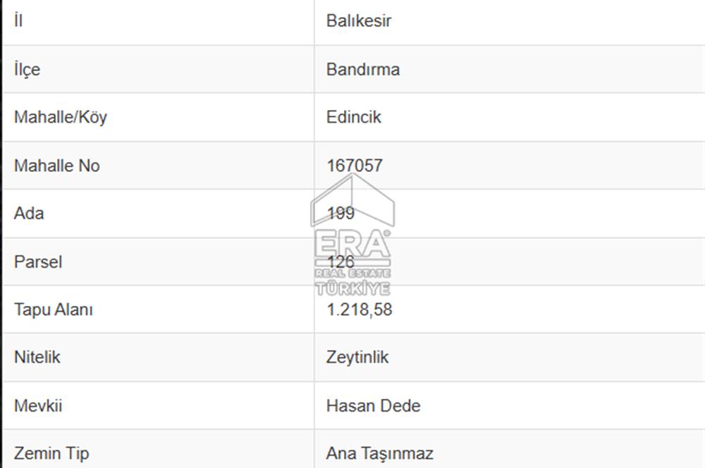 EDİNCİK’TE DENİZE 500M MESAFEDE | BAKIMLI & YÜKSEK VERİMLİ ZEYTİNLİK