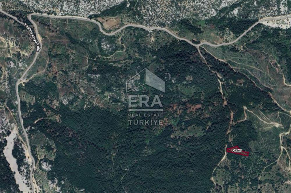 ANTALYA AKSEKİ TAŞLICA MAHALLESİ SATILIK TEK TAPU TARLA