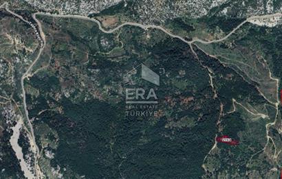 ANTALYA AKSEKİ TAŞLICA MAHALLESİ SATILIK TEK TAPU TARLA