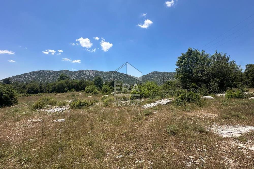 ANTALYA AKSEKİ DUTLUCA MAHALLESİ SATILIK TEK TAPU TARLA