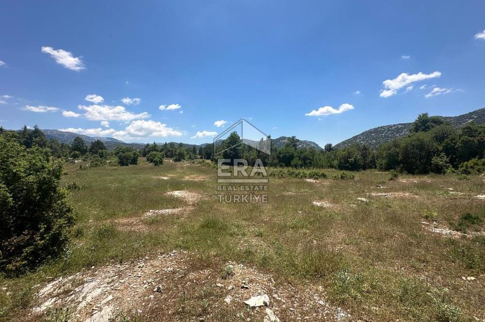 ANTALYA AKSEKİ DUTLUCA MAHALLESİ SATILIK TEK TAPU TARLA