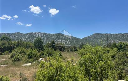 ANTALYA AKSEKİ DUTLUCA MAHALLESİ SATILIK TEK TAPU TARLA