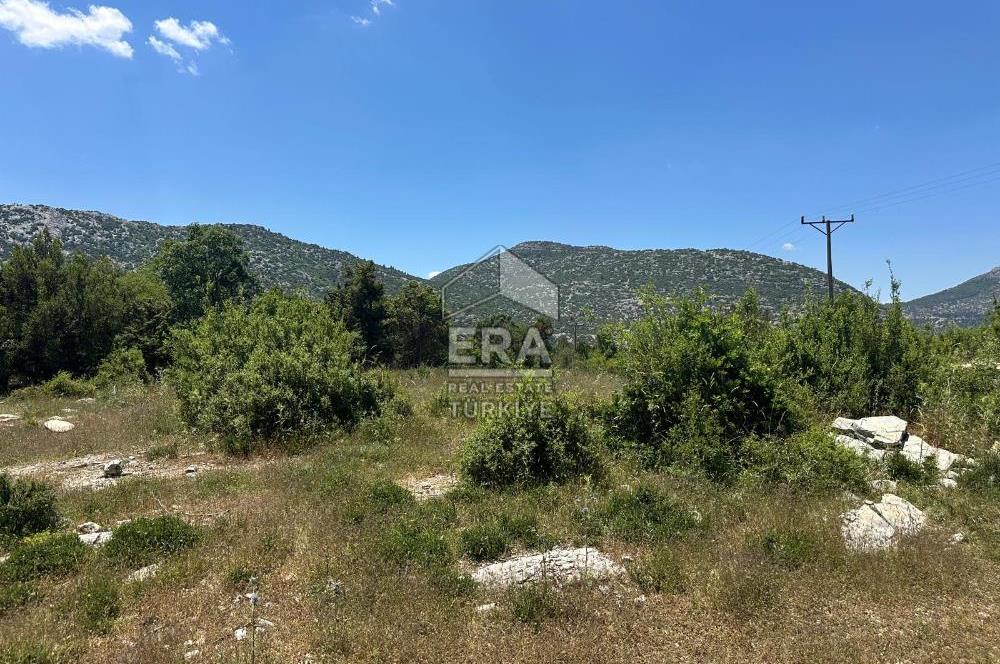ANTALYA AKSEKİ DUTLUCA MAHALLESİ SATILIK TEK TAPU TARLA