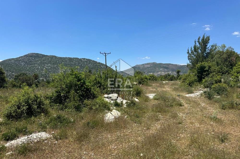ANTALYA AKSEKİ DUTLUCA MAHALLESİ SATILIK TEK TAPU TARLA