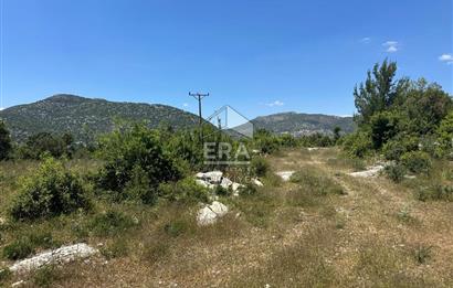 ANTALYA AKSEKİ DUTLUCA MAHALLESİ SATILIK TEK TAPU TARLA