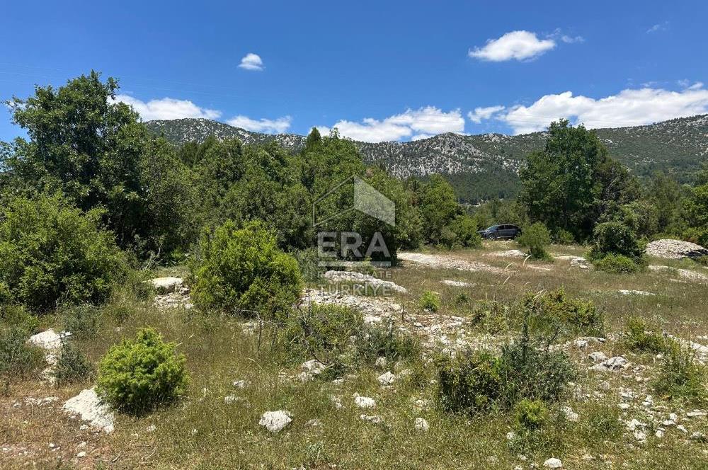 ANTALYA AKSEKİ DUTLUCA MAHALLESİ SATILIK TEK TAPU TARLA
