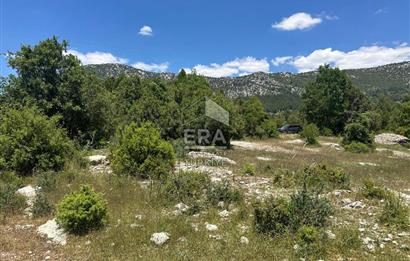 ANTALYA AKSEKİ DUTLUCA MAHALLESİ SATILIK TEK TAPU TARLA