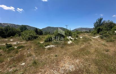 ANTALYA AKSEKİ DUTLUCA MAHALLESİ SATILIK TEK TAPU TARLA