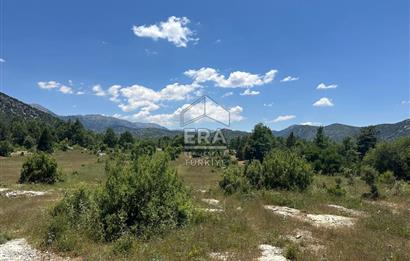 ANTALYA AKSEKİ DUTLUCA MAHALLESİ SATILIK TEK TAPU TARLA