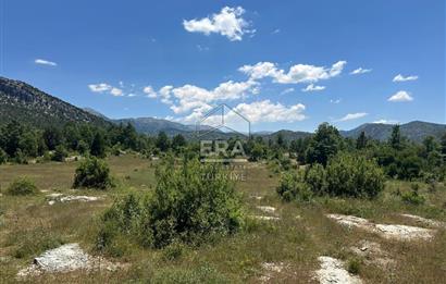 ANTALYA AKSEKİ DUTLUCA MAHALLESİ SATILIK TEK TAPU TARLA