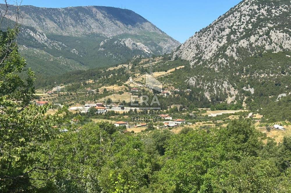 ANTALYA AKSEKİ TAŞLICA MAHALLESİ SATILIK TEK TAPU TARLA
