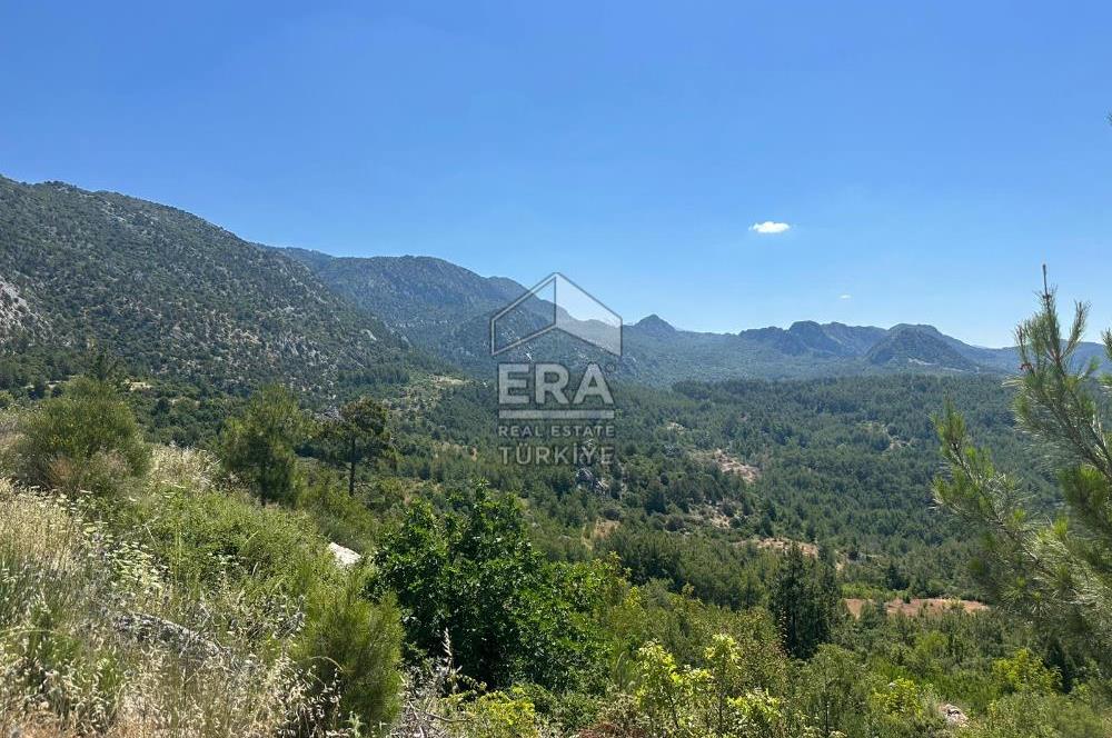 ANTALYA AKSEKİ TAŞLICA MAHALLESİ SATILIK TEK TAPU TARLA