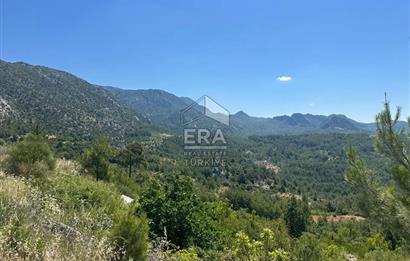 ANTALYA AKSEKİ TAŞLICA MAHALLESİ SATILIK TEK TAPU TARLA