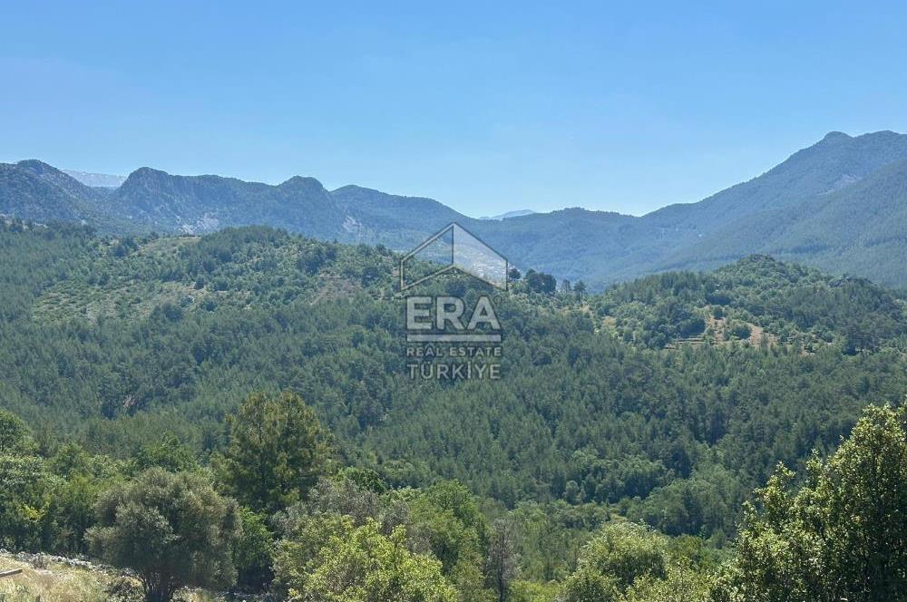 ANTALYA AKSEKİ TAŞLICA MAHALLESİ SATILIK TEK TAPU TARLA