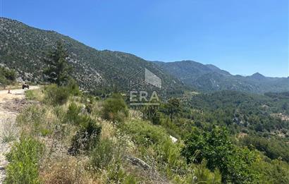 ANTALYA AKSEKİ TAŞLICA MAHALLESİ SATILIK TEK TAPU TARLA