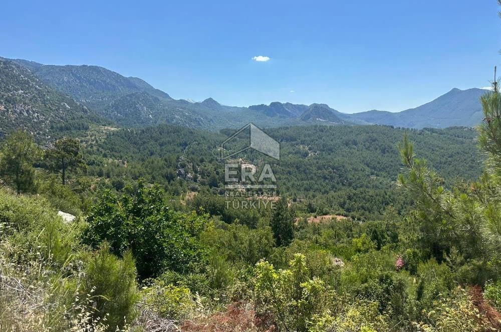 ANTALYA AKSEKİ TAŞLICA MAHALLESİ SATILIK TEK TAPU TARLA