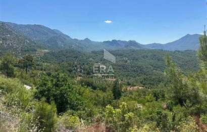 ANTALYA AKSEKİ TAŞLICA MAHALLESİ SATILIK TEK TAPU TARLA