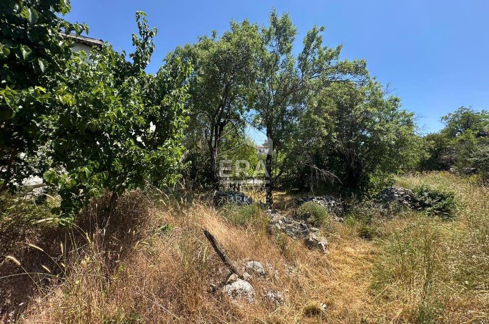 ANTALYA AKSEKİ EMİRAŞIKLAR MAHALLESİ SATILIK TEK TAPU TARLA