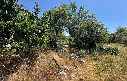 ANTALYA AKSEKİ EMİRAŞIKLAR MAHALLESİ SATILIK TEK TAPU TARLA