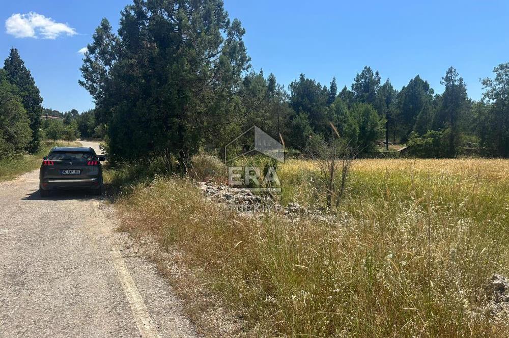 ANTALYA AKSEKİ EMİRAŞIKLAR MAHALLESİ SATILIK TEK TAPU TARLA
