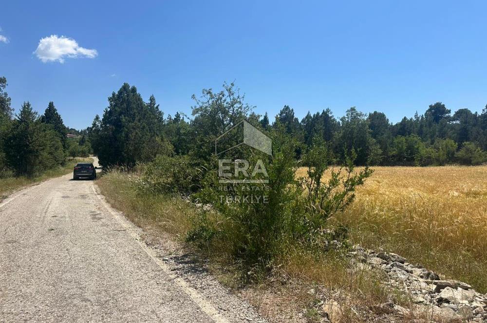 ANTALYA AKSEKİ EMİRAŞIKLAR MAHALLESİ SATILIK TEK TAPU TARLA