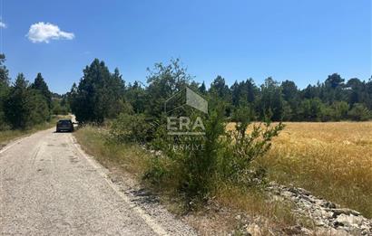 ANTALYA AKSEKİ EMİRAŞIKLAR MAHALLESİ SATILIK TEK TAPU TARLA