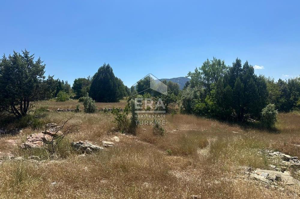 ANTALYA AKSEKİ EMİRAŞIKLAR MAHALLESİ SATILIK TEK TAPU TARLA
