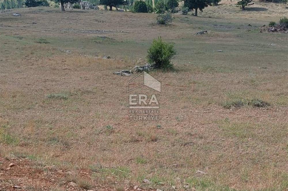 KONYA DEREBUCAK ÇAMLIK (BAKARAN YAYLASI) SATILIK TEK TAPU TARLA
