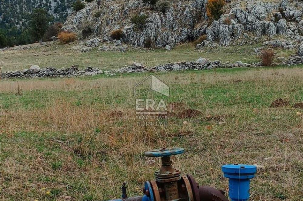 KONYA DEREBUCAK ÇAMLIK (BAKARAN YAYLASI) SATILIK TEK TAPU TARLA