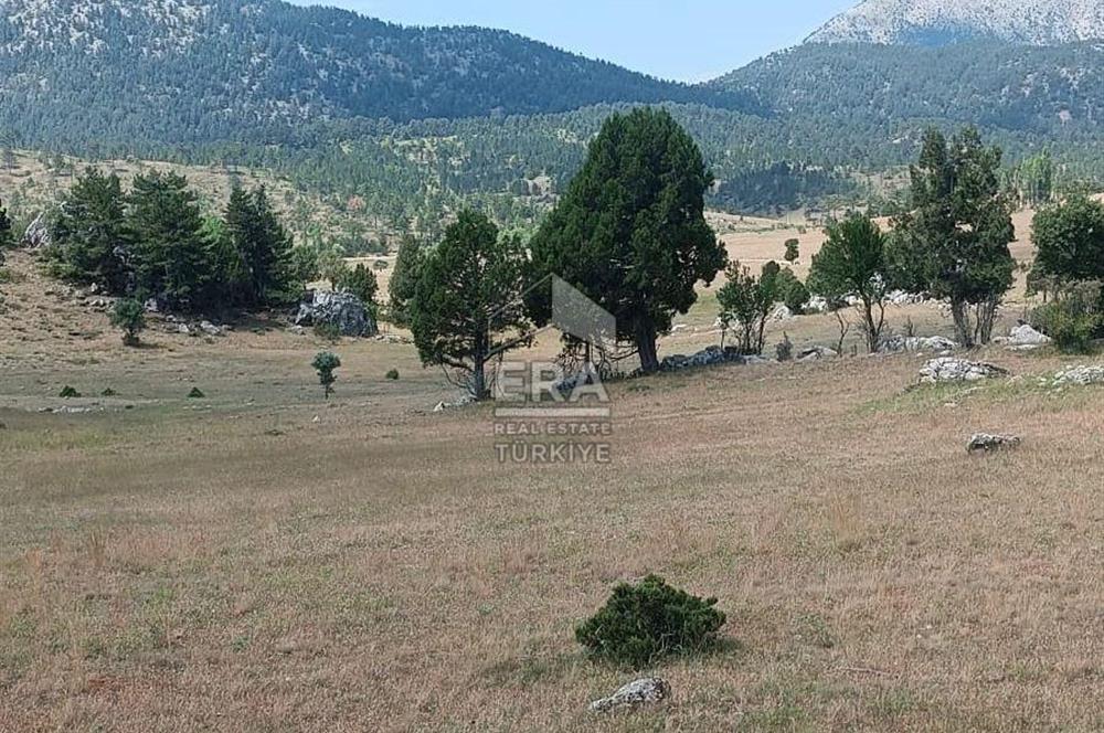 KONYA DEREBUCAK ÇAMLIK (BAKARAN YAYLASI) SATILIK TEK TAPU TARLA