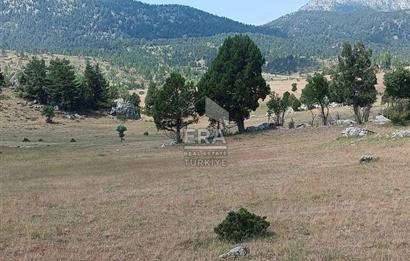 KONYA DEREBUCAK ÇAMLIK (BAKARAN YAYLASI) SATILIK TEK TAPU TARLA