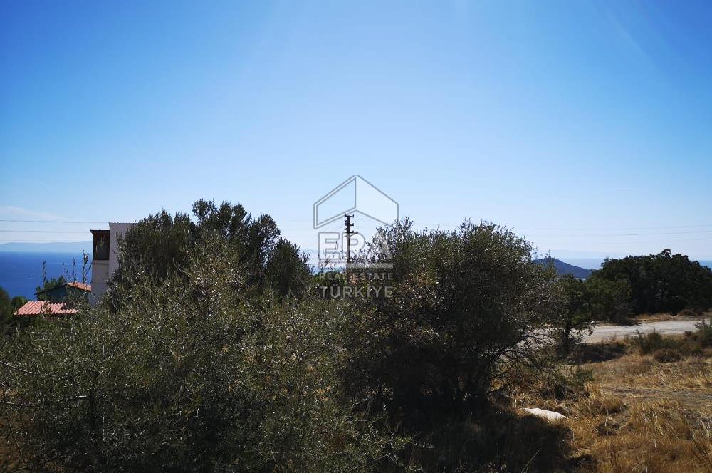 Çandarlı' Kapanmaz Deniz Manzaralı,350m Villa İmarlı,Yola Cephe