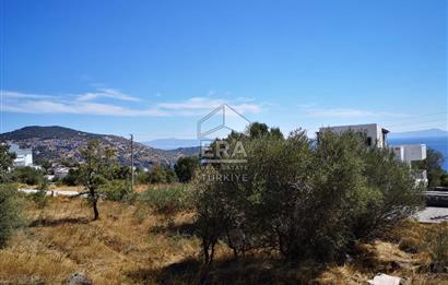 Çandarlı' Kapanmaz Deniz Manzaralı,350m Villa İmarlı,Yola Cephe