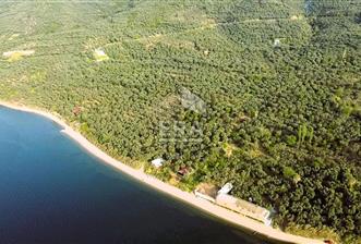 Era Söz'den Edincik'te Denize 200m Bakımlı Düz Zeytinlik - 10 - 15355