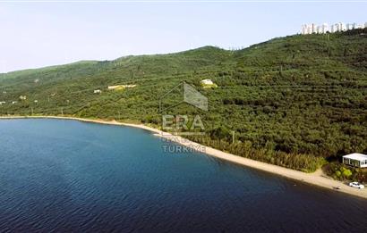 Era Söz'den Edincik'te Denize 200m Bakımlı Düz Zeytinlik