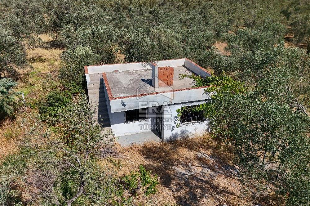 ERA SÖZ GAYRİMENKULDEN BALIKESİR HAVRAN’DA BAĞ EVLİ, ALTYAPILI SATILIK ZEYTİNLİK