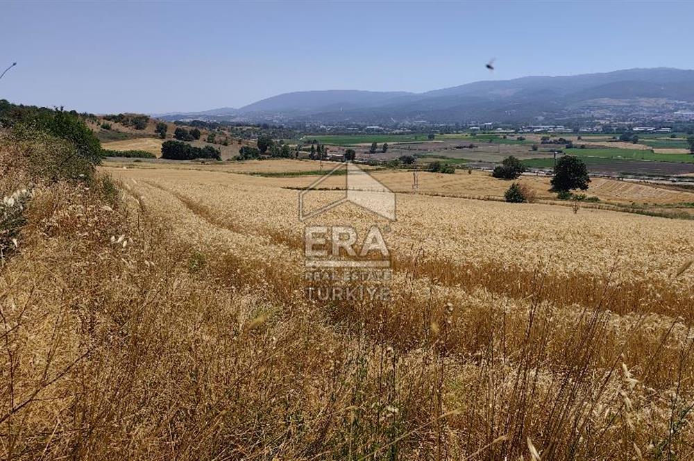 ERA SÖZ GAYRİMENKUL'DEN SUSURLUK’ TA OTOYOLA 500 METRE MESAFEDE SATILIK TARLA