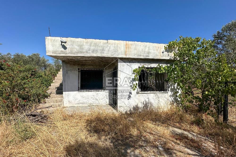 ERA SÖZ GAYRİMENKULDEN BALIKESİR HAVRAN’DA BAĞ EVLİ, ALTYAPILI SATILIK ZEYTİNLİK