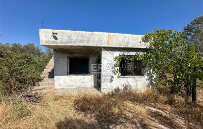 ERA SÖZ GAYRİMENKULDEN BALIKESİR HAVRAN’DA BAĞ EVLİ, ALTYAPILI SATILIK ZEYTİNLİK