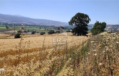 ERA SÖZ GAYRİMENKUL'DEN SUSURLUK’ TA OTOYOLA 500 METRE MESAFEDE SATILIK TARLA