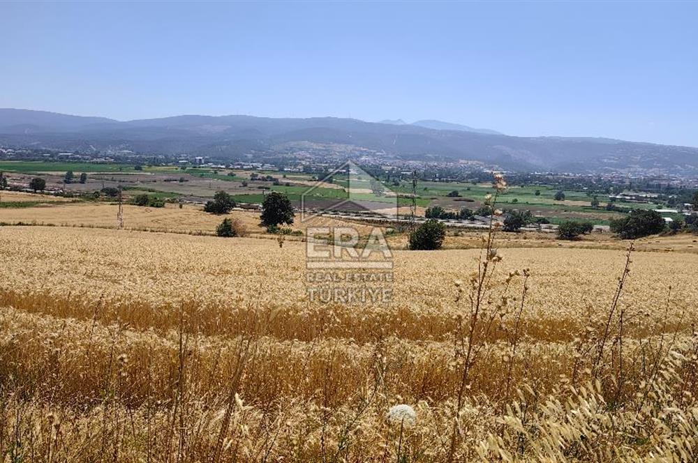 ERA SÖZ GAYRİMENKUL'DEN SUSURLUK’ TA OTOYOLA 500 METRE MESAFEDE SATILIK TARLA