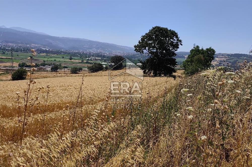 ERA SÖZ GAYRİMENKUL'DEN SUSURLUK’ TA OTOYOLA 500 METRE MESAFEDE SATILIK TARLA
