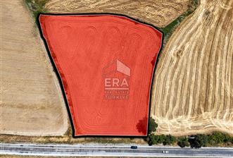 ERA SÖZ GAYRİMENKUL'DEN SUSURLUK’ TA OTOYOLA 500 METRE MESAFEDE SATILIK TARLA - 10 - 15411