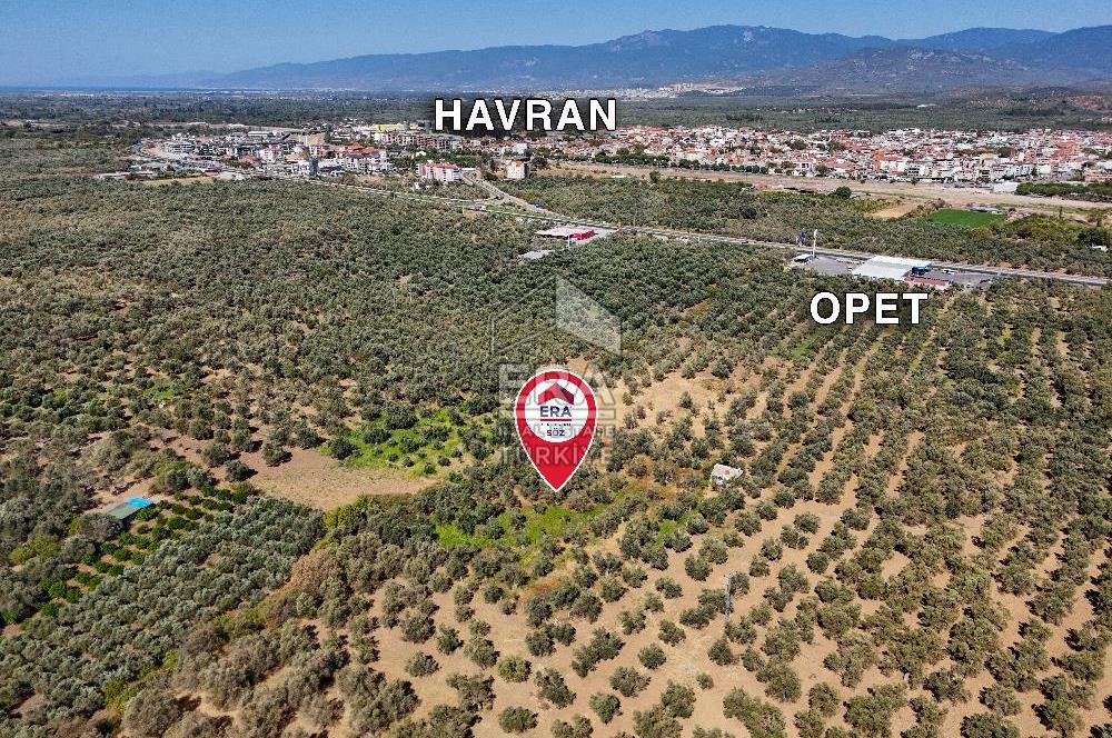 ERA SÖZ GAYRİMENKULDEN BALIKESİR HAVRAN’DA BAĞ EVLİ, ALTYAPILI SATILIK ZEYTİNLİK