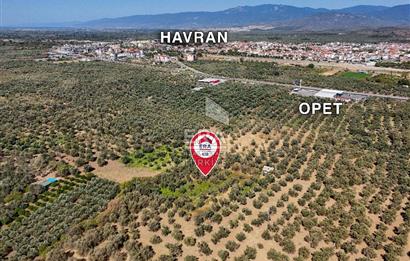 ERA SÖZ GAYRİMENKULDEN BALIKESİR HAVRAN’DA BAĞ EVLİ, ALTYAPILI SATILIK ZEYTİNLİK