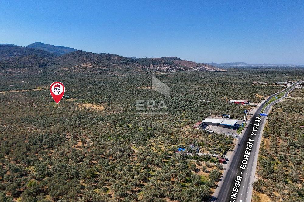 ERA SÖZ GAYRİMENKULDEN BALIKESİR HAVRAN’DA BAĞ EVLİ, ALTYAPILI SATILIK ZEYTİNLİK